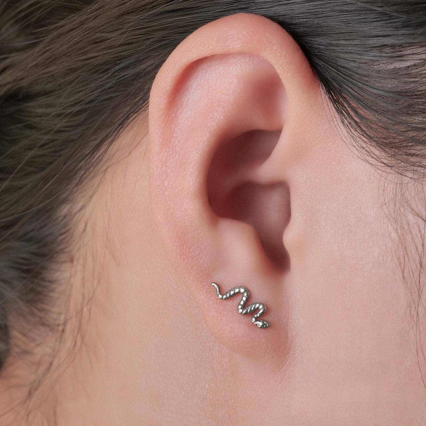 limerencia F136 Titanium Hypoallergenic Piercing Jewelry 18G 6mm 8mm 10mm Flat Back Internally Threaded Implant Grade Climber Stud Crawler Earrings For Cartilage,Tragus,Helix,Conch,Nose,Lip(1pc)