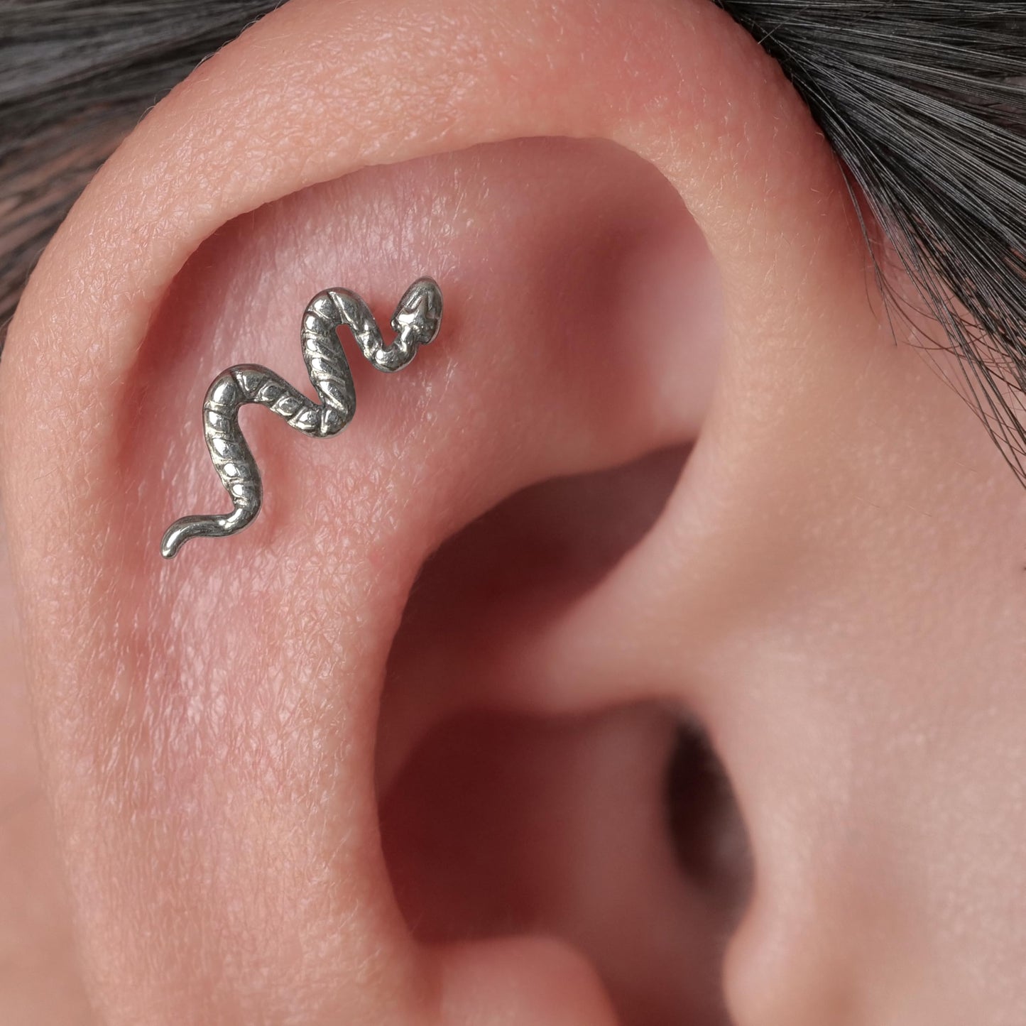 limerencia F136 Titanium Hypoallergenic Piercing Jewelry 18G 6mm 8mm 10mm Flat Back Internally Threaded Implant Grade Climber Stud Crawler Earrings For Cartilage,Tragus,Helix,Conch,Nose,Lip(1pc)